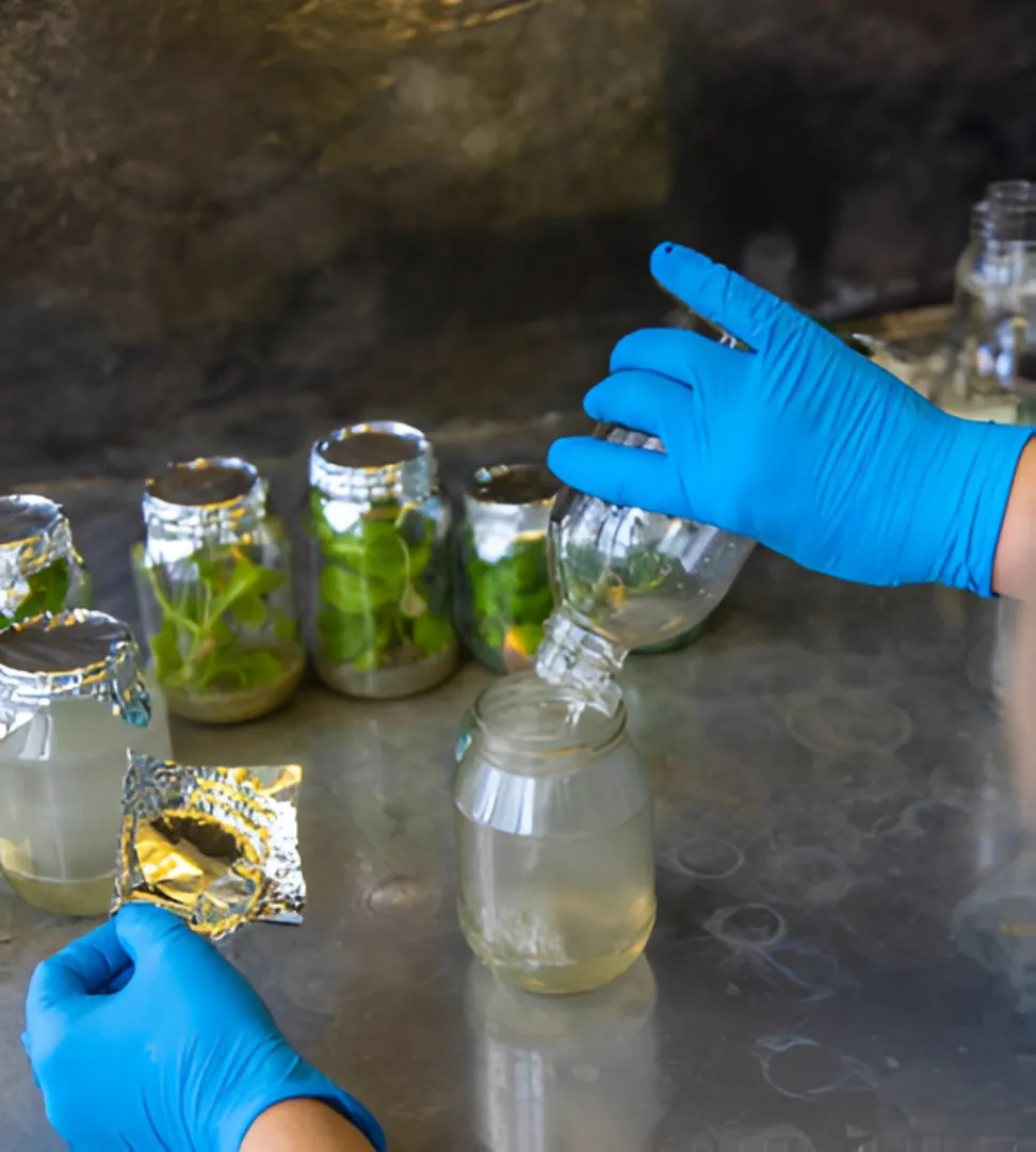 Chemical Manufacturing