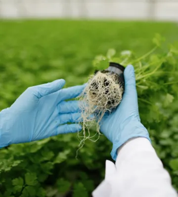 Agrochemical Industry